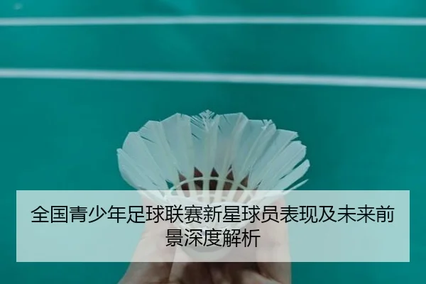 全国青少年足球联赛新星球员表现及未来前景深度解析
